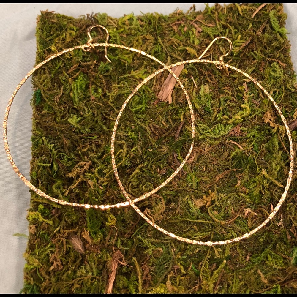 Large Vermeil Hammered Hoop Earrings